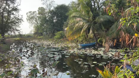 incredible sunset scenery over small pond with boat in tropical setting