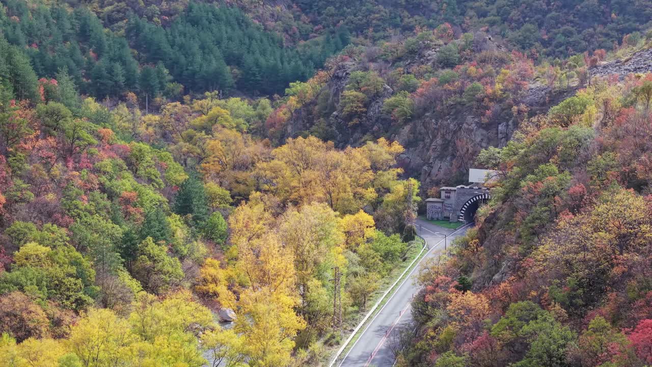 Aerial drone shot of a road through nature, revealing a national road tunnel with a river flowing beside it