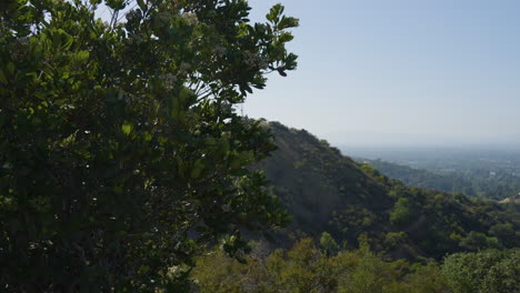 Toma-Panorámica-A-Través-De-Las-Montañas-Hasta-Un-Pequeño-Pueblo-Ubicado-En-Las-Colinas-De-Hollywood-En-El-Sur-De-California