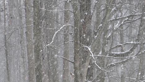 brown and white winter colors provide ideal camouflage decor for this owl