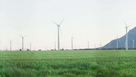 general view of wind turbines in countryside landscape with cloudless sky