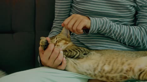 woman petting a cat on the couch