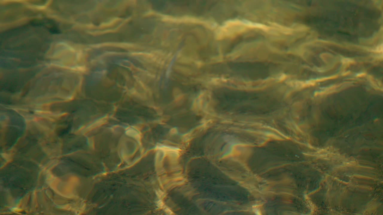The cool, clear, transparent water of the Warmian-Masurian Voivodeship province in Poland - slowmo