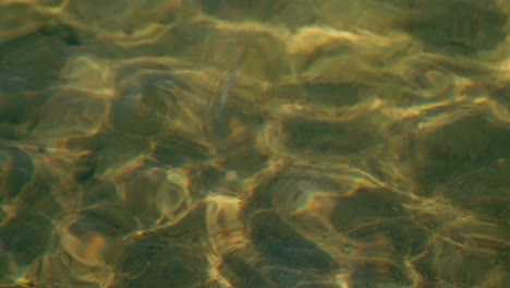 The-cool,-clear,-transparent-water-of-the-Warmian-Masurian-Voivodeship-province-in-Poland---slowmo