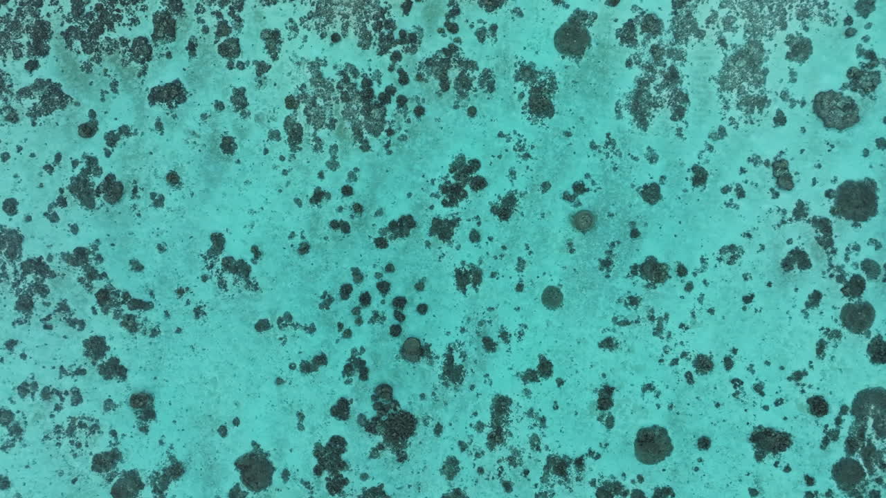 Aerial top shot of turquoise lagoon of South Pacific Ocean in Cook Islands.