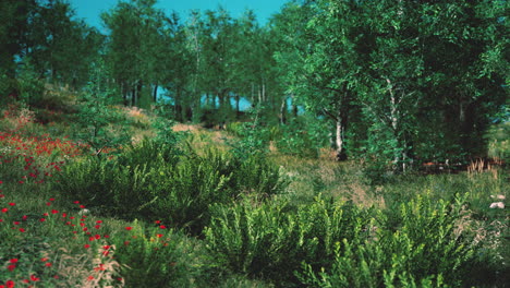 vista panorámica panorámica de idílicas colinas paisaje con prados en flor