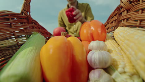 fresh vegetables in a basket