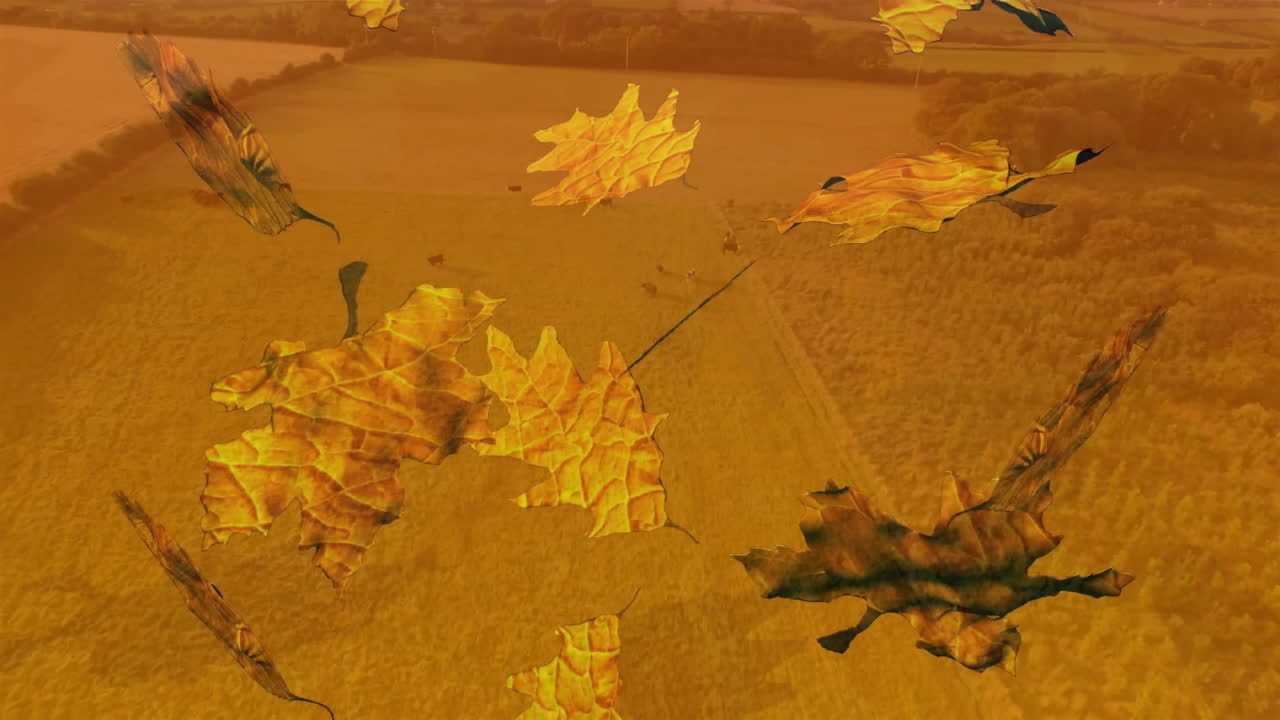 Golden field with autumn leaves falling, creating animation of seasonal change