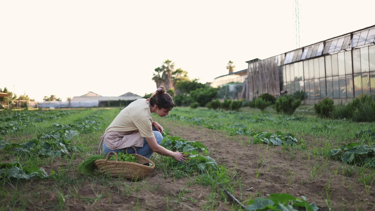 屋外の農園で植物の手入れをする若い女性