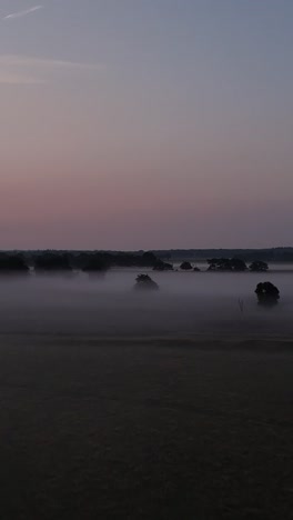 misty landscape at dawn