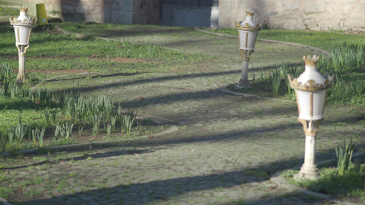 Sunlit Garden Pathway with Classic Decorative Lampposts