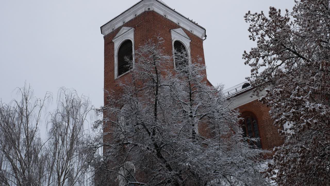 寒い冬の日に雪に覆われた木々を通るカウナス大聖堂の塔
