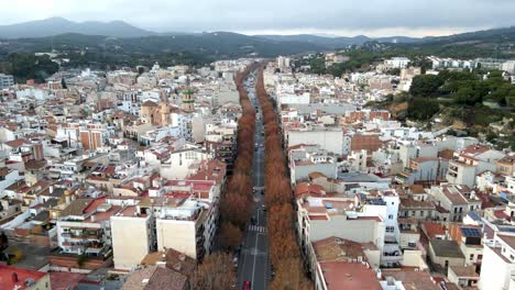 Toma-Aérea-De-Un-Dron-Que-Pasa-Justo-Por-Encima-De-La-Avenida-Principal-De-Un-Pueblo