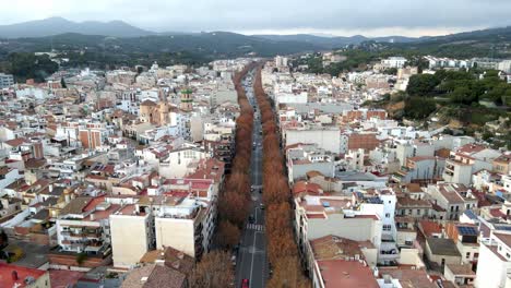 aerial shot of a drone passing just above the main avenue of a town