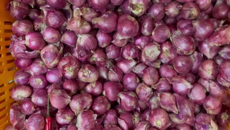 fresh garlic for sale at market, close up