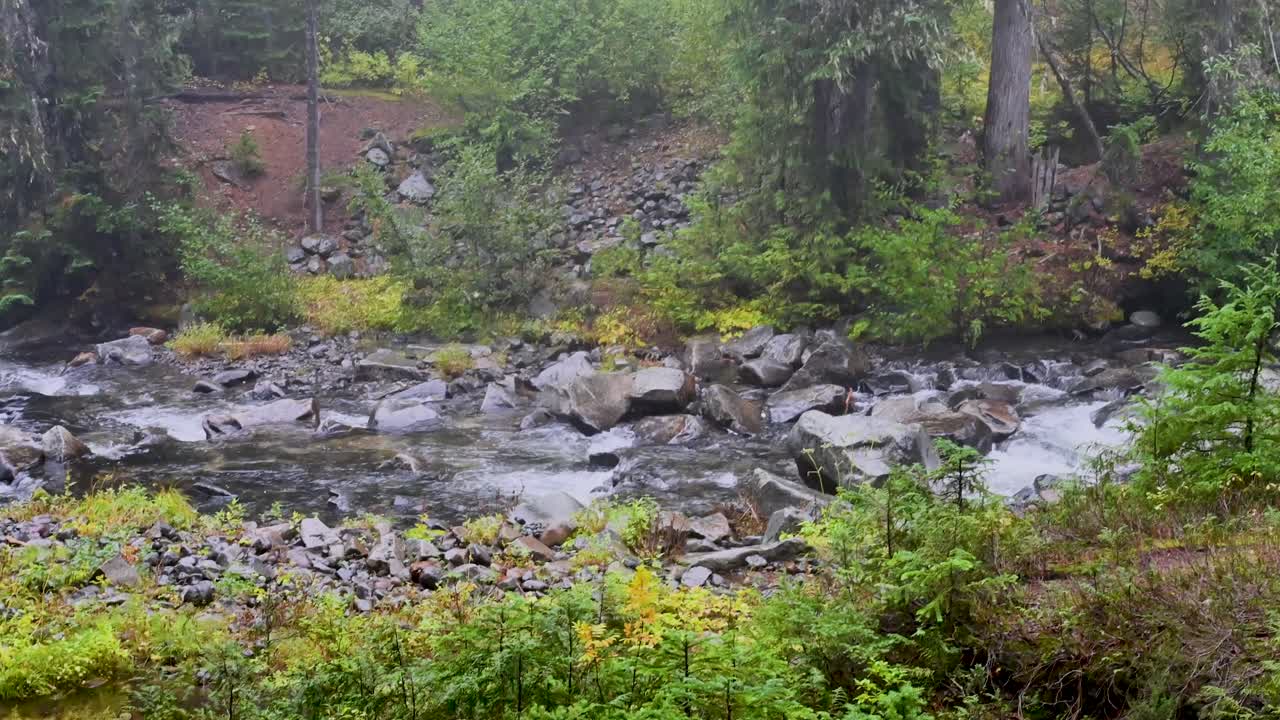 Aerial drone footage of a rocky stream flowing through lush Pacific Northwest forest surrounded by moss and evergreen trees