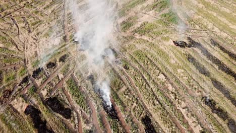 Aerial-open-fire-causing-white-smoke-release-at-Malaysia.