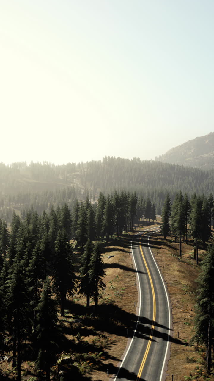 panorámico camino de montaña a través del bosque