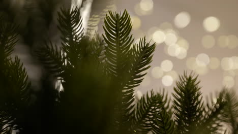 bokeh lights behind an artificial pine tree decor inside a luxury watch shopping center