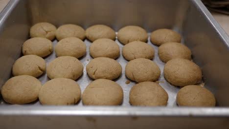 delicious biscuits from oven