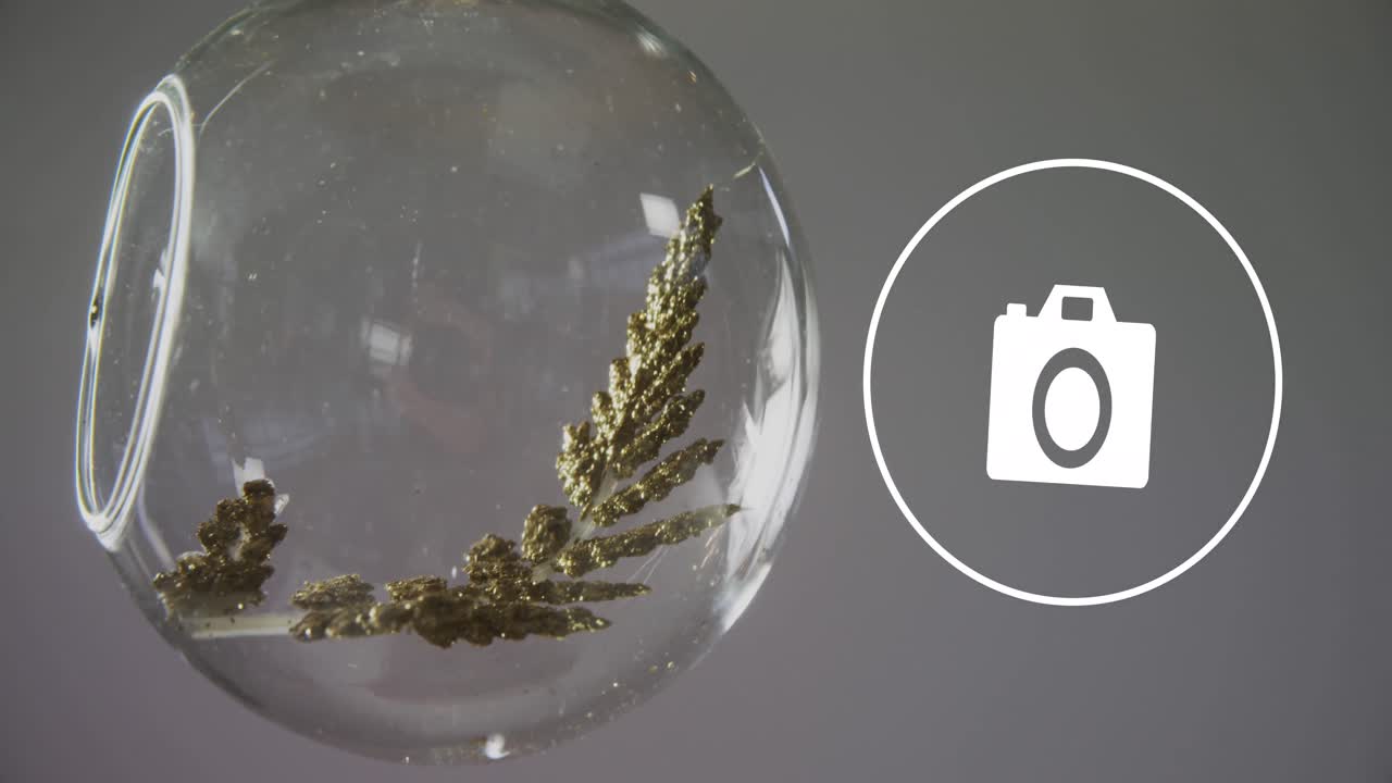 animación del icono de la cámara sobre la rama de un abeto en una burbuja de vidrio sobre un fondo gris.