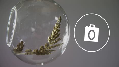 animation of camera icon over fir tree branch in glass bubble on grey background