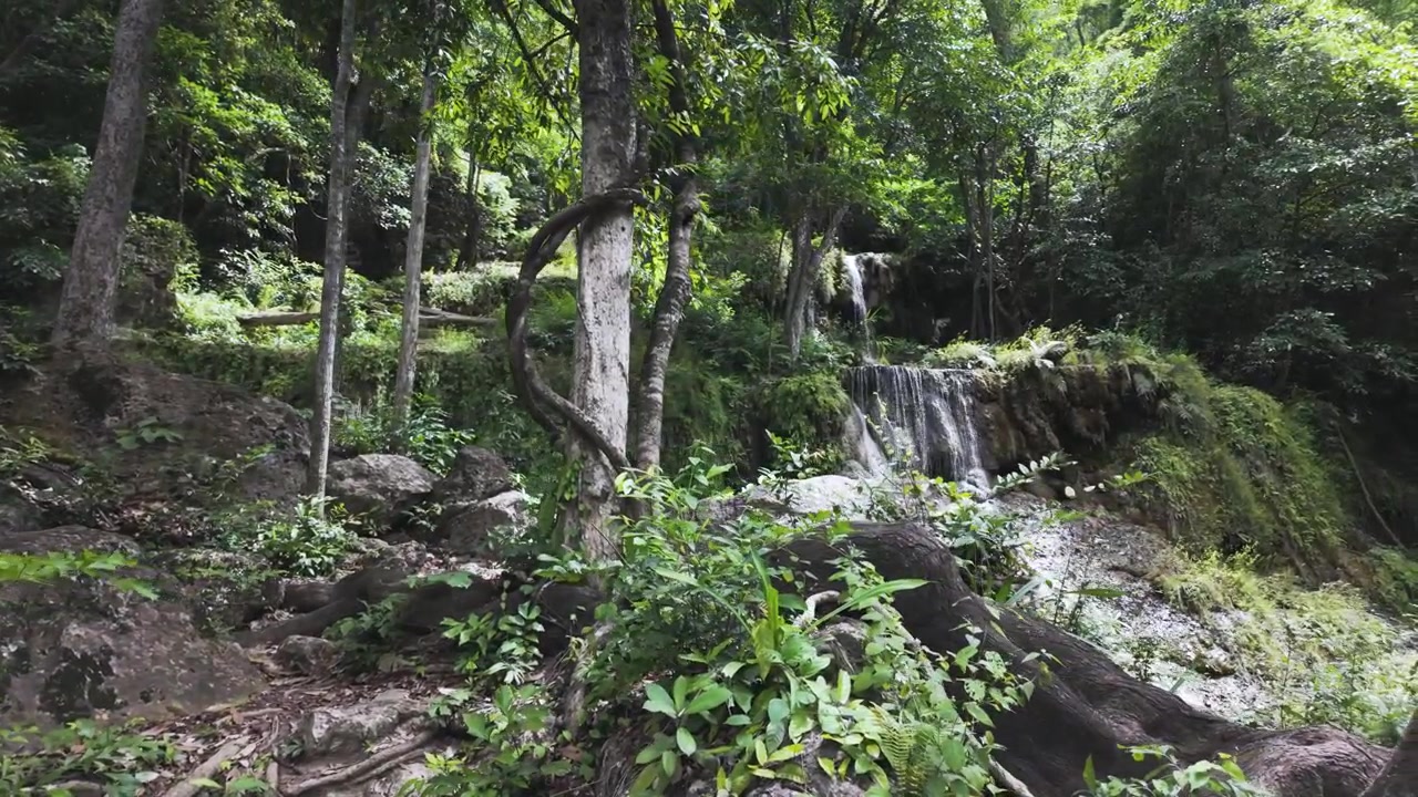 Fogliame tropicale lussureggiante incornicia una piccola cascata a più livelli e viti contorte lungo un pendio roccioso della giungla nel Parco Nazionale di Erawan.