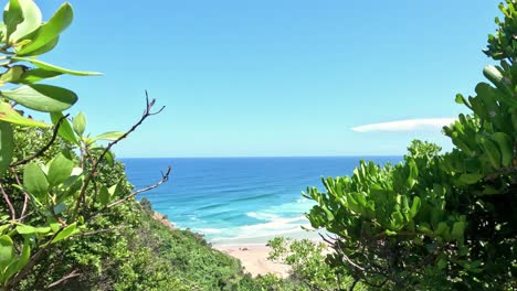 static view of a peaceful beach from behind greenery