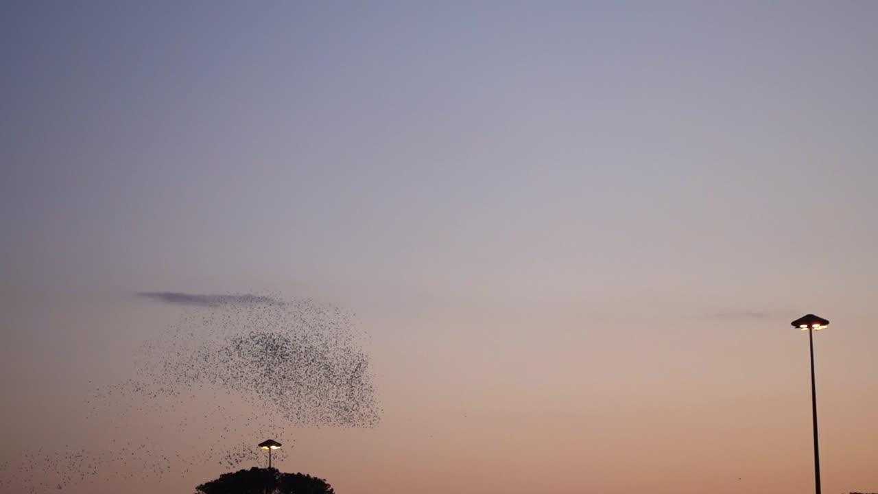 스로의 폭풍은 쇼핑몰에서 해가 지는 동안 날아갑니다. - full hd fps60