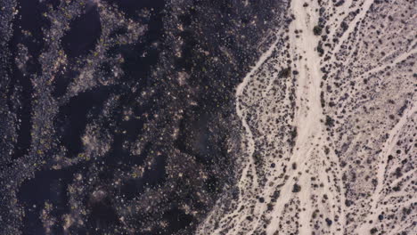 Bird's-eye-view-Mojave-desert-landscape