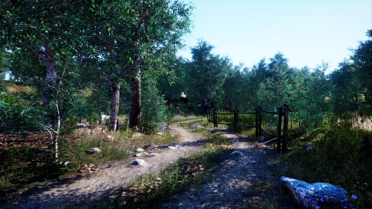 해가 지면 에 숲 이 있는 시골 을 가로지르는  ⁇ 길