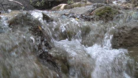 punto de vista de cerca sobre una pequeña cascada en el bosque nacional los padres sobre ojai california