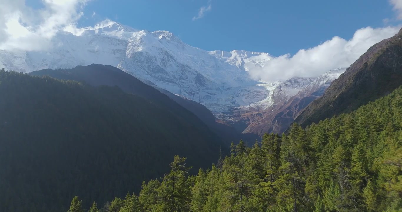 Annapurna Circuit, Manang, Nepal, glidende luftoptagelse over en frodig fyrreskovsdal, der afslører de sneklædte tinder af Annapurna II i Himalaya-bjergkæden