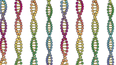 visualización en color del análisis de adn aislado en fondo blanco animación de rotación 3d, para montaje y capacitación médica