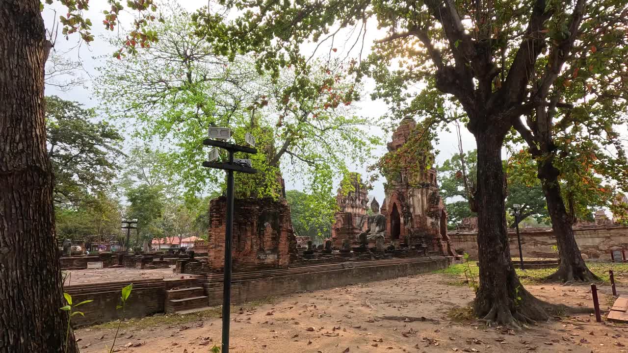 역사적인 사원 폐허를 지나 평화로운 산책