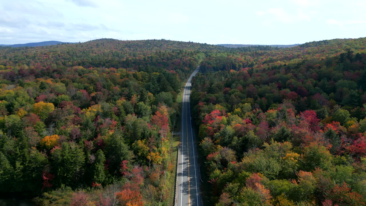 Aerial View of a Scenic Autumn Road Through Colorful Forest