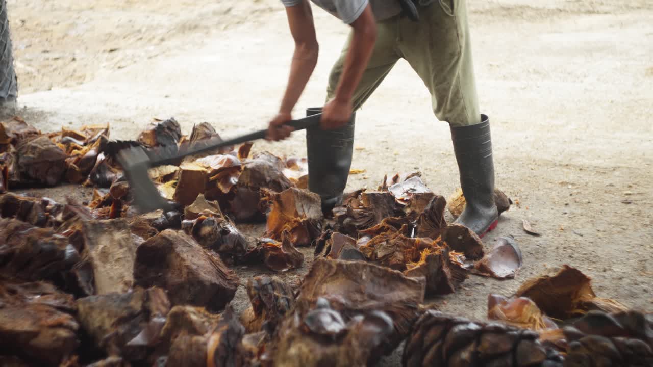 SLOW MOTION SHOT OF A MAN CUTTING AGAVE AT A DISTILLERY IN OAXACA TO MAKE MEZCAL