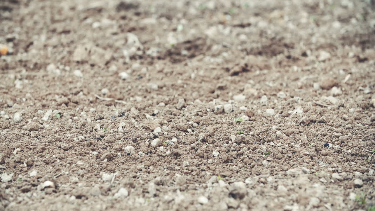 신선한 경작지 경작지