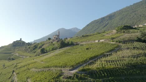 north italy, terraced vineyards