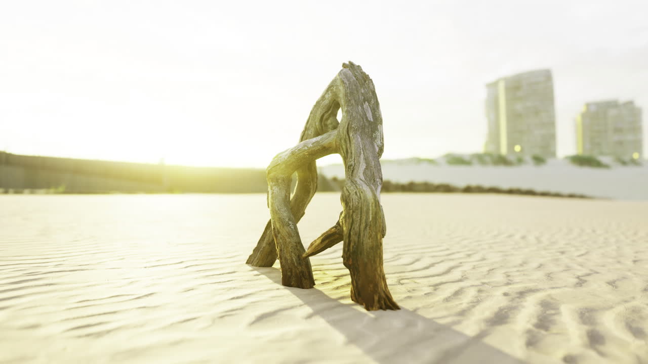 Scultura di legno spiaggiato proietta lunghe ombre sulla spiaggia al tramonto