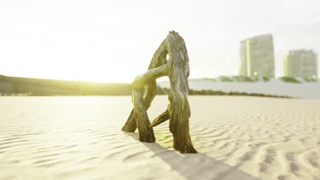 driftwood sculpture casts long shadows on beach during sunset