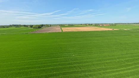 fast drone shot flying over lush green farm fields near middelburg, the netherlands