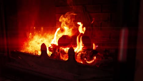 slowmotion view of flames are tree trunks in an open hearth with anamorphic lens flares