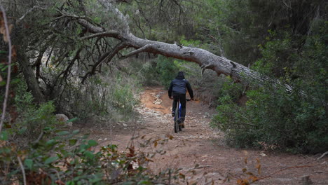 paseos ciclistas a través de un sendero rocoso boscoso con árboles caídos