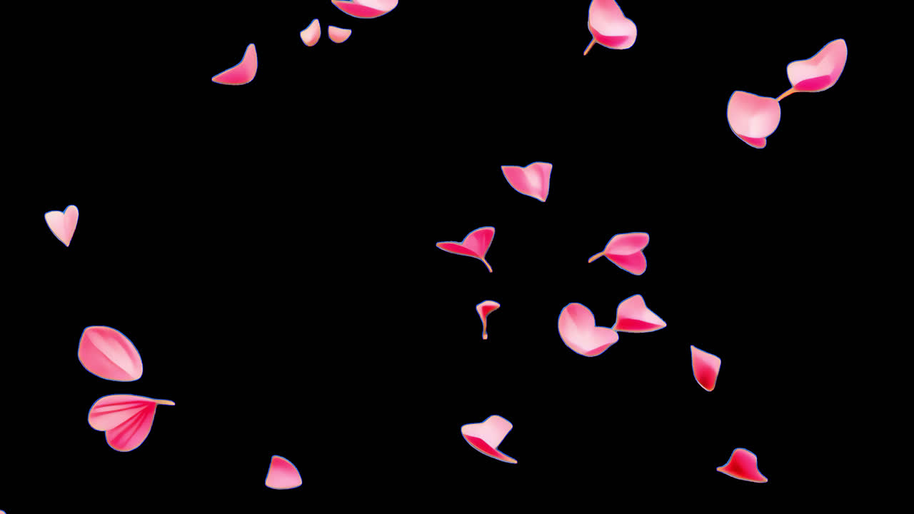 Floating pink petals serene animated overlay, transparent 4K video, alpha channel, ProRes 4444