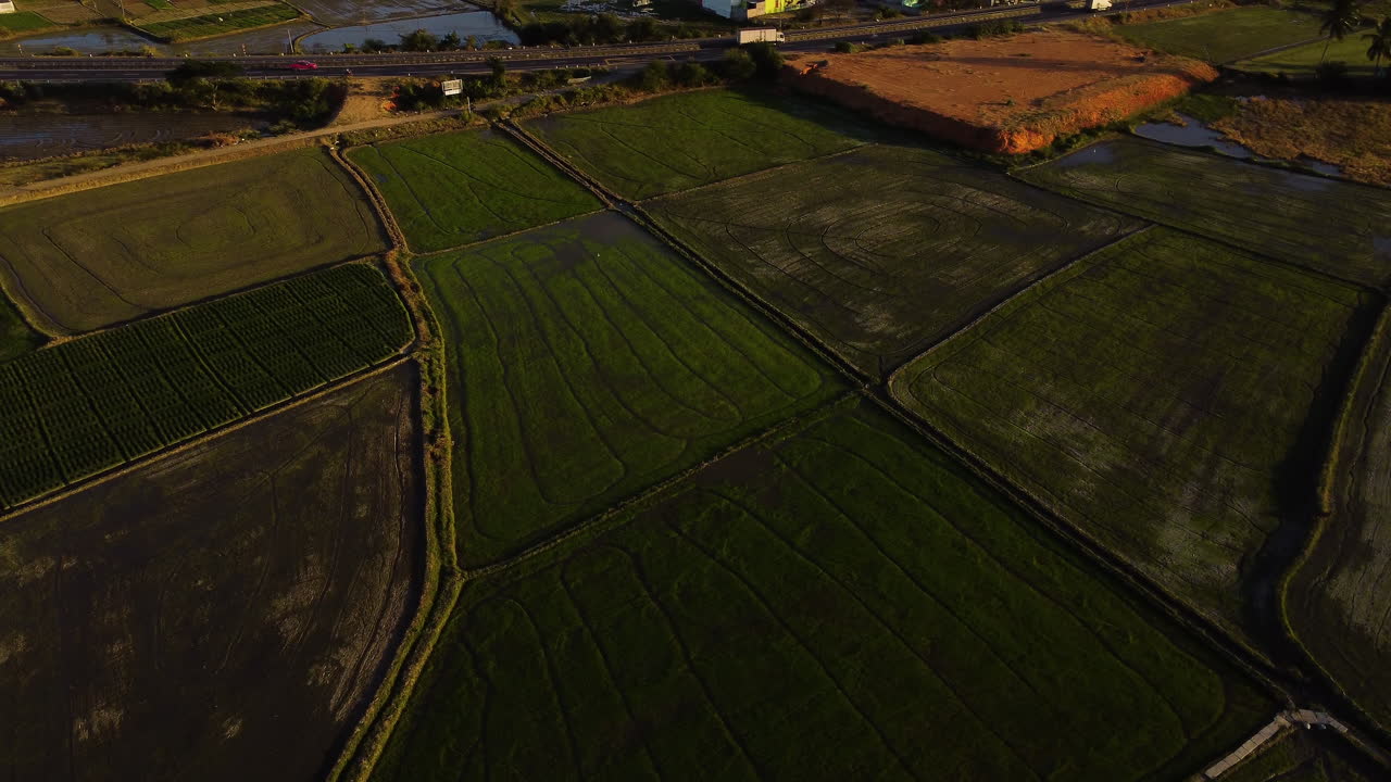 ángulo alto aéreo que se eleva revelando el camino junto a los campos de arroz, lien huong, vietnam