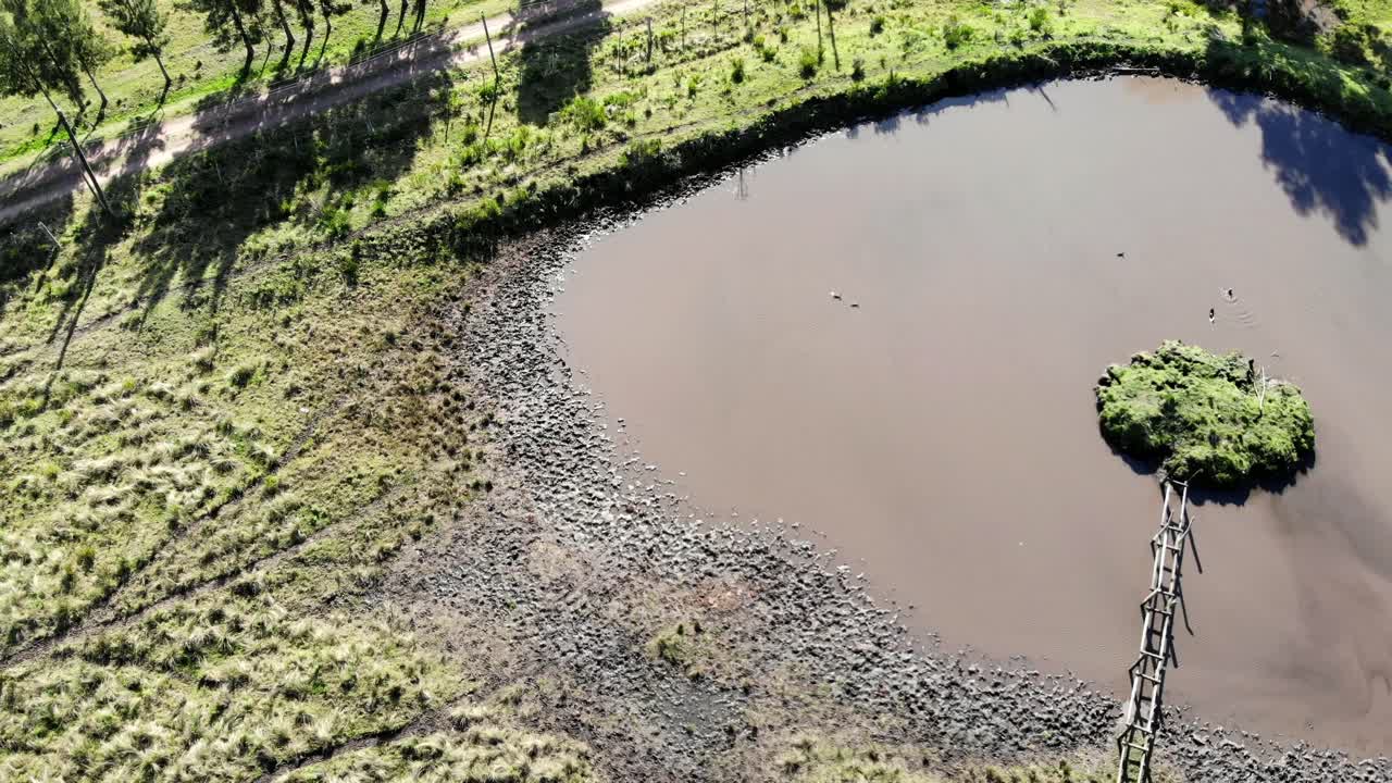 imágenes aéreas de un lago en el campo con patos nadando