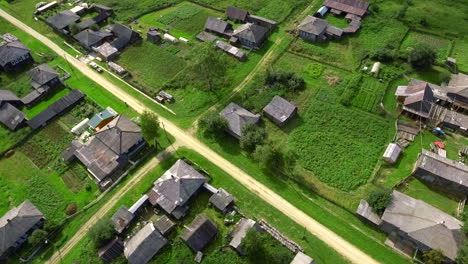 aerial view of a rural village with traditional houses and gardens