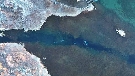 Vista-De-Arriba-Hacia-Abajo-De-Buzos-En-Aguas-Cristalinas-De-La-Fisura-De-Silfra-En-El-Parque-Nacional-De-Thingvellir,-En-El-Sur-De-Islandia