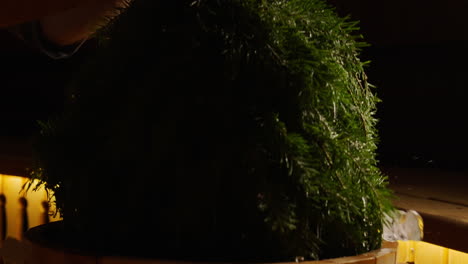 preparing a sauna with fir branches